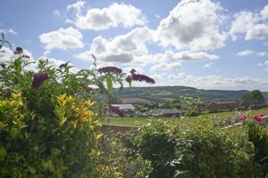 Photo 19- click for photo gallery